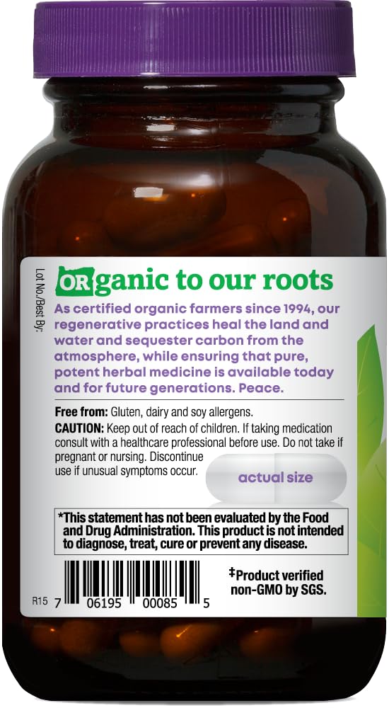 Organic ingredients close-up: milk thistle, burdock, artichoke, dandelion in blend