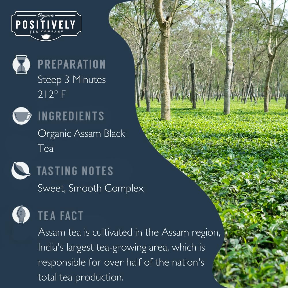 Organic Positively Tea Company Assam TGFOP tea steeping in a pot, smooth flavor enhances early-day calm.