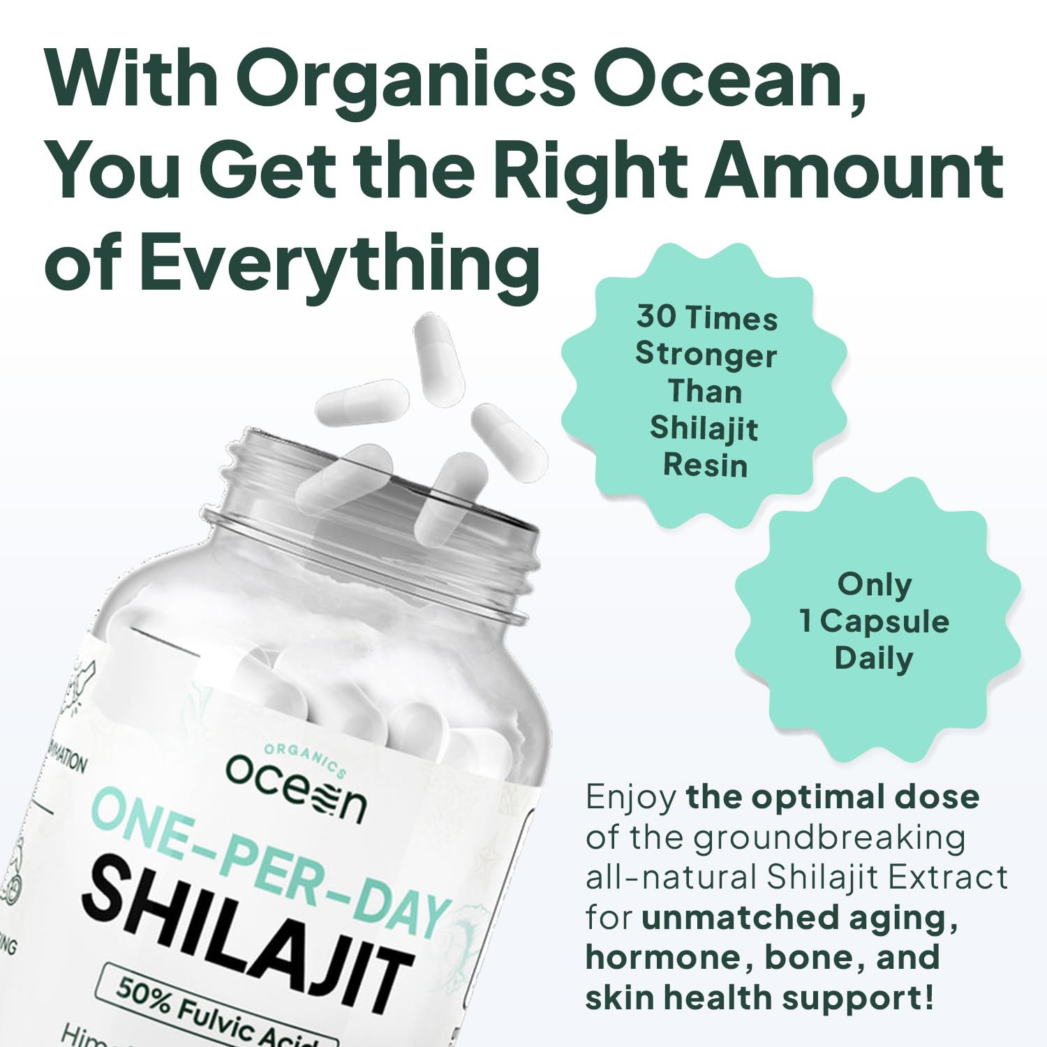 Organics Ocean Shilajit Himalayan-origin image emphasizing high-altitude quality.