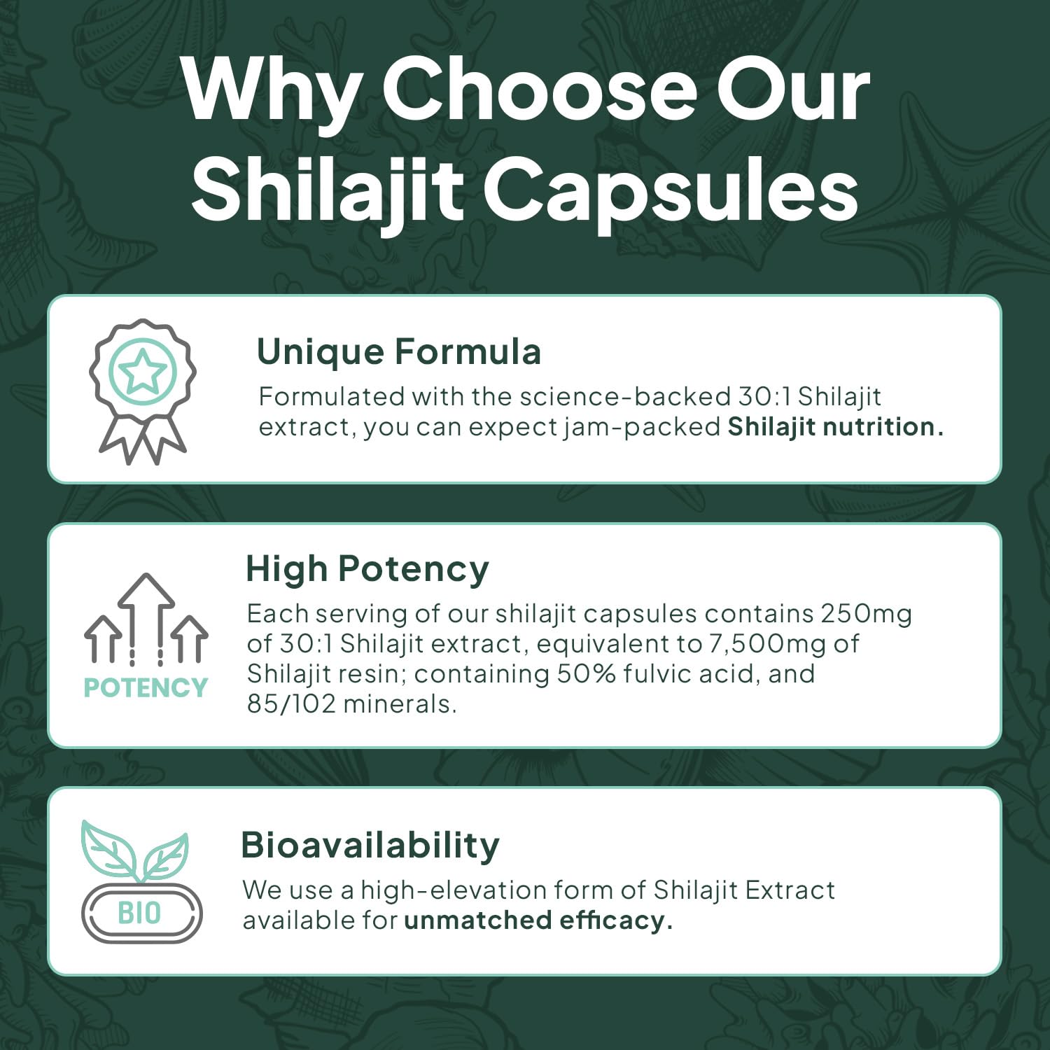 Organics Ocean Shilajit daily dose tray illustrating one-a-day convenience.