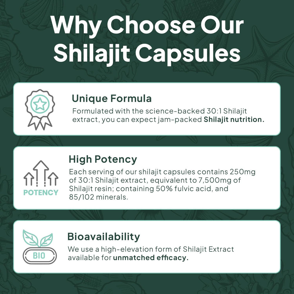 Organics Ocean Shilajit daily dose tray illustrating one-a-day convenience.