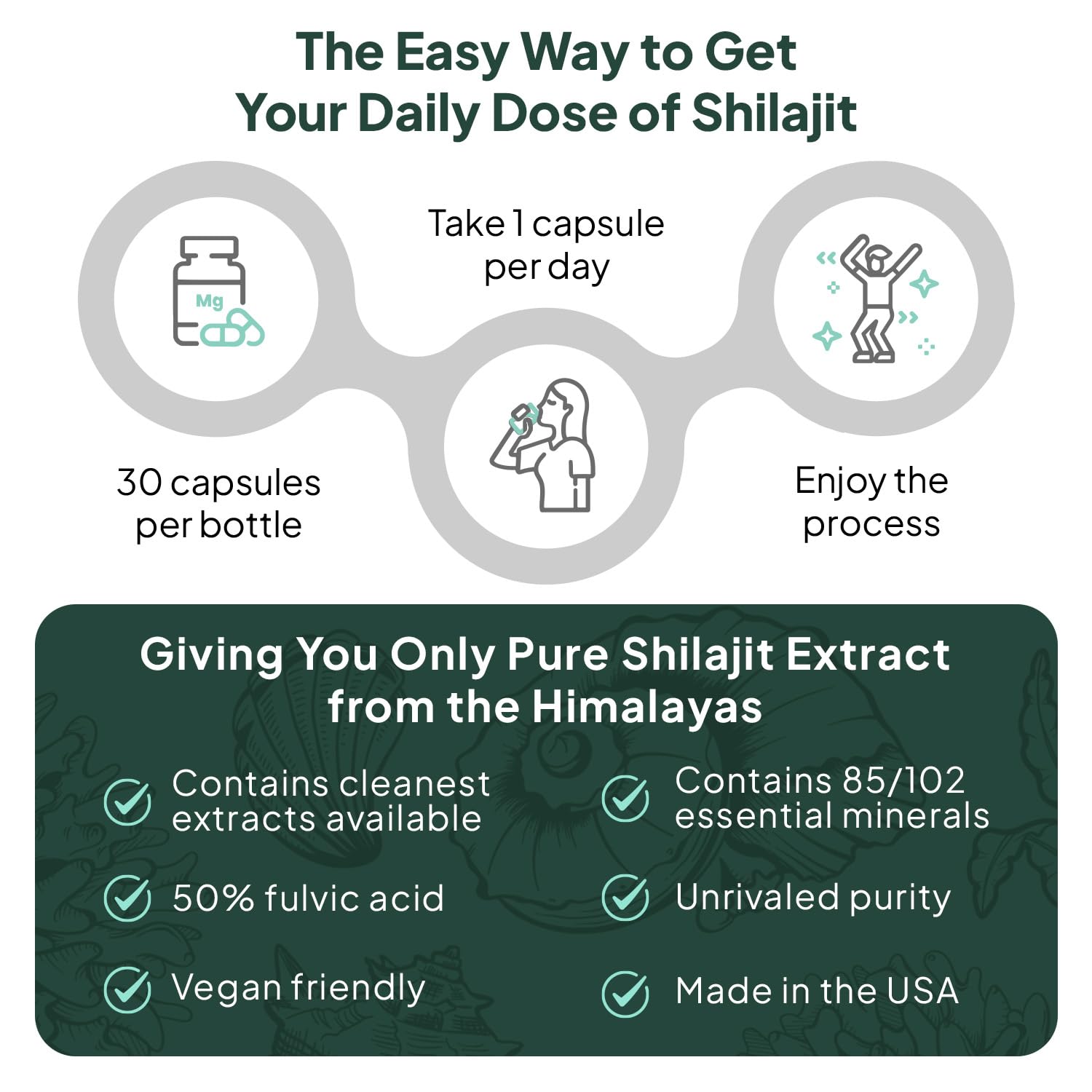 Organics Ocean Shilajit imagery suggesting overall wellness and vitality.