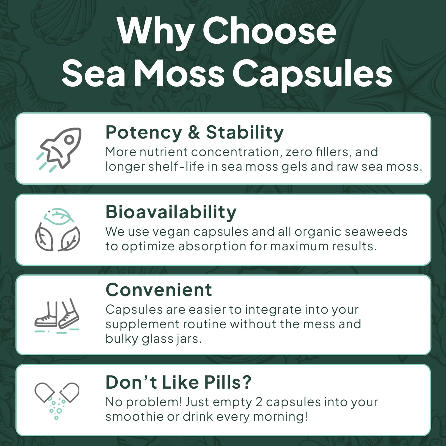Organics Ocean imagery conveys purity and mineral-rich Atlantic sea moss.