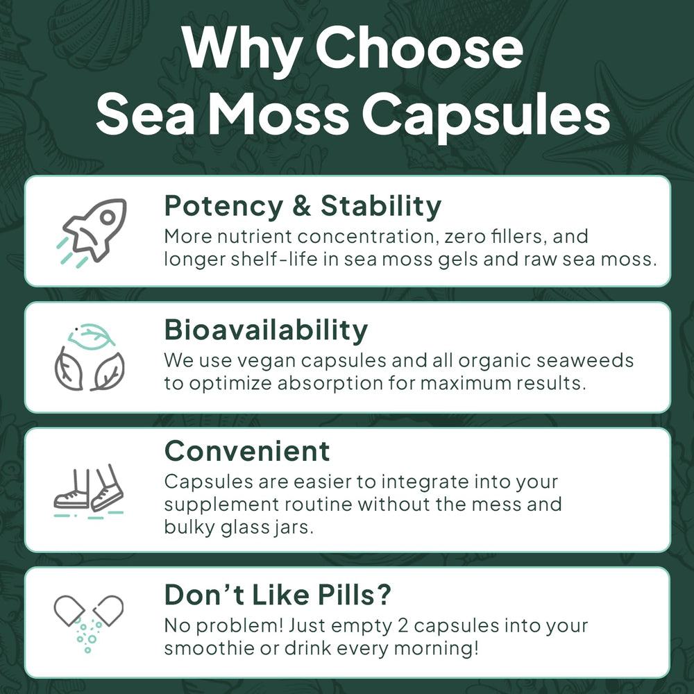 Organics Ocean imagery conveys purity and mineral-rich Atlantic sea moss.