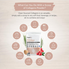 Organixx collagen bottle highlights vitamin C and zinc.