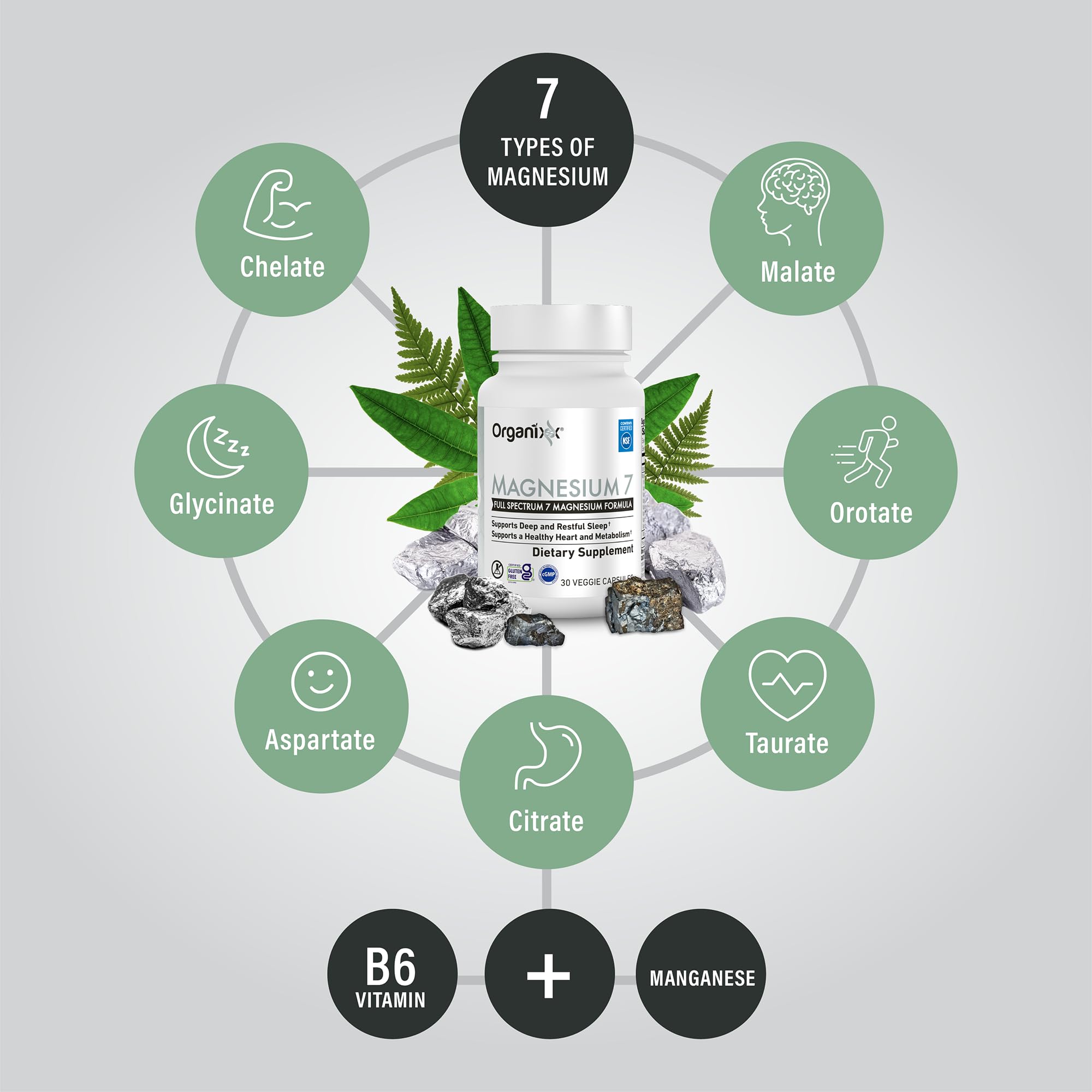 Organixx magnesium ingredient panel highlights seven bioavailable forms.