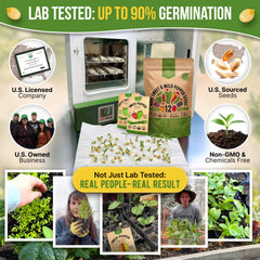 Organo Republic California Wonder pepper seeds for vibrant peppers and patio garden