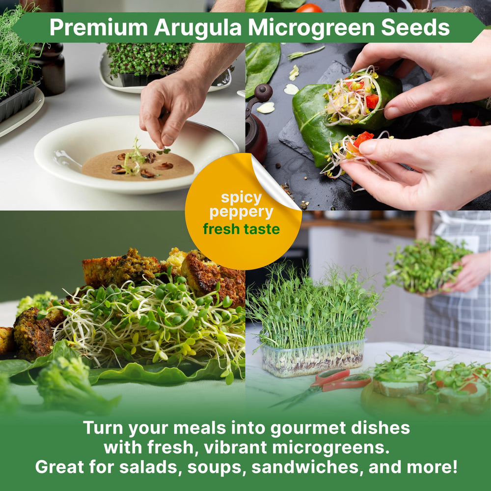 Organo Republic resealable seed bag with QR code and growing guide.