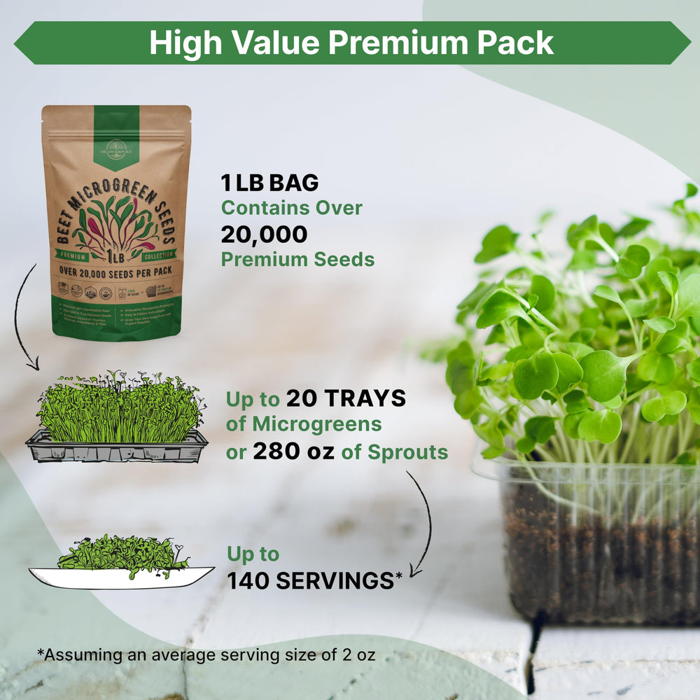 Organo Republic beet microgreens harvest ready for salads and garnishes