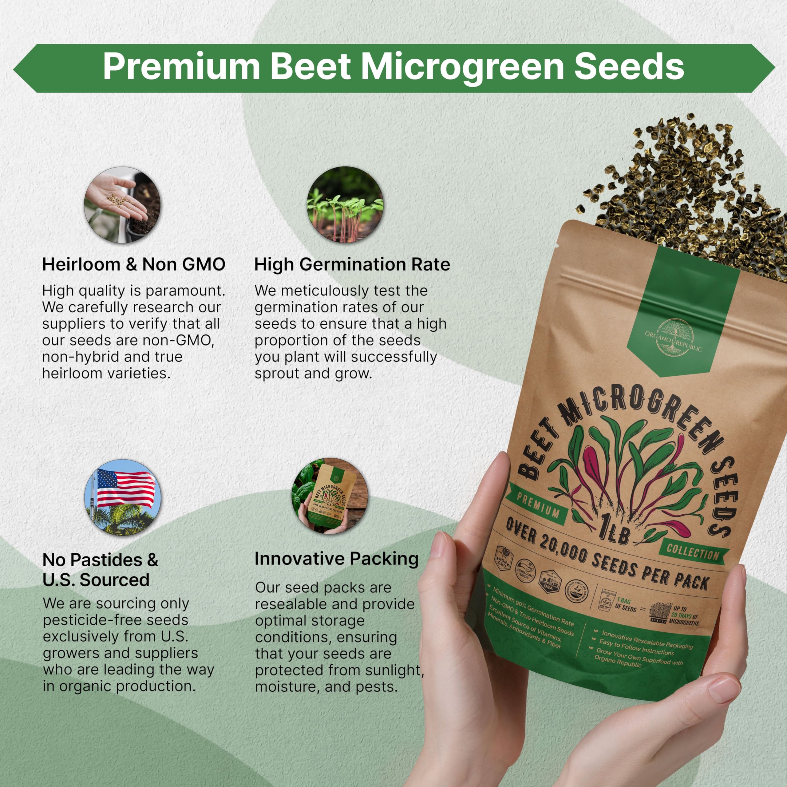 Organo Republic beet microgreens ready for hydroponic or aeroponic systems
