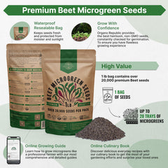 Organo Republic beet sprouts microgreens early growth in home garden