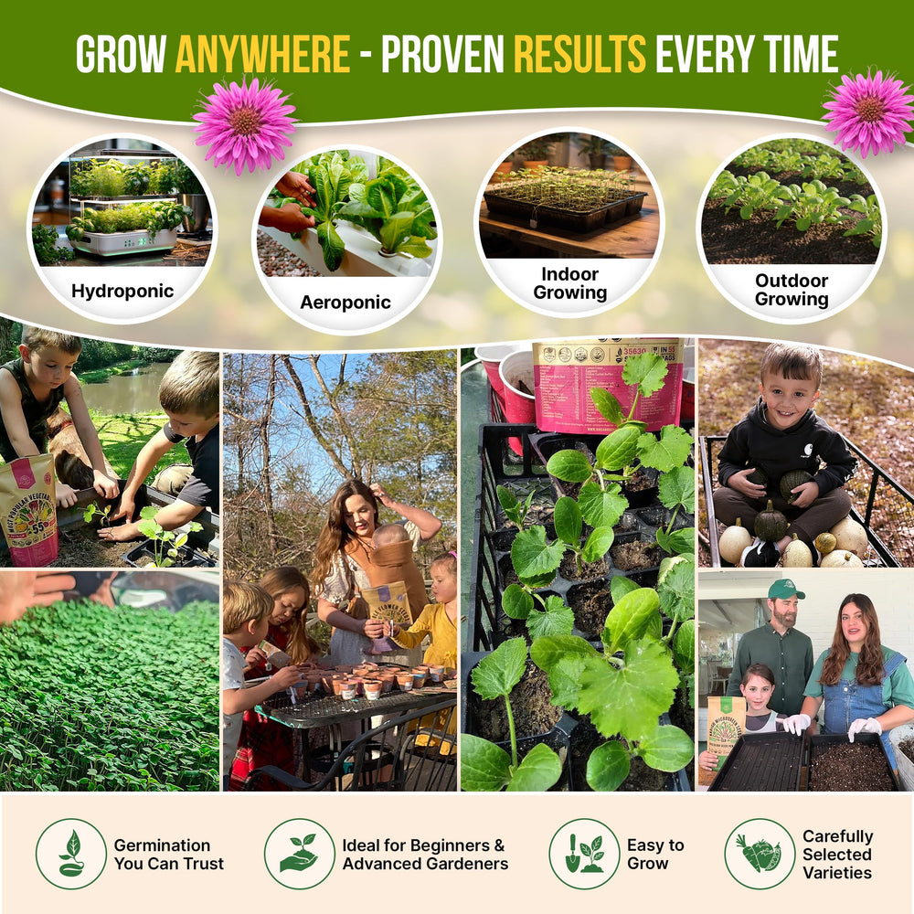 Organo Republic chart illustrating high germination rates for confident starts