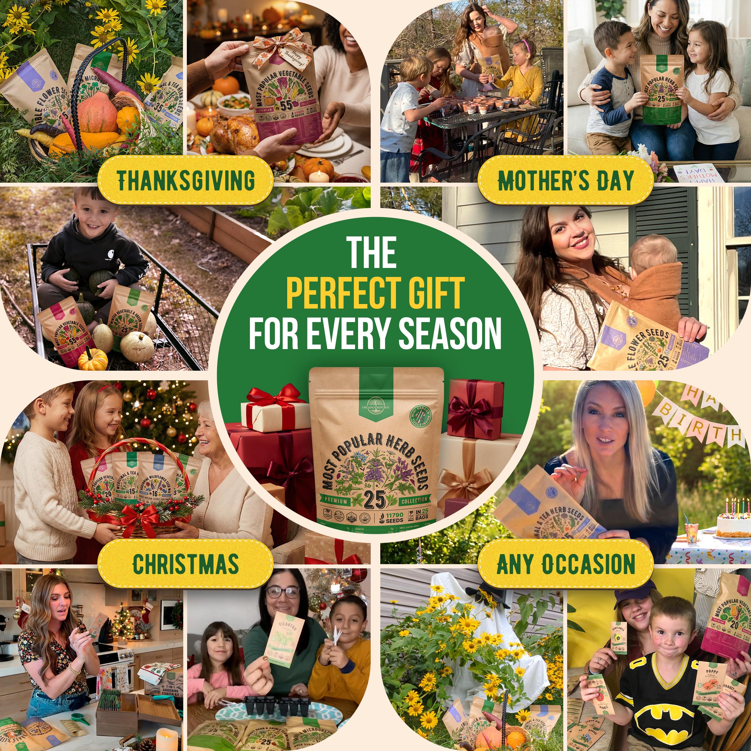 Organo Republic harvest-ready herbs inspire fresh meals at home.