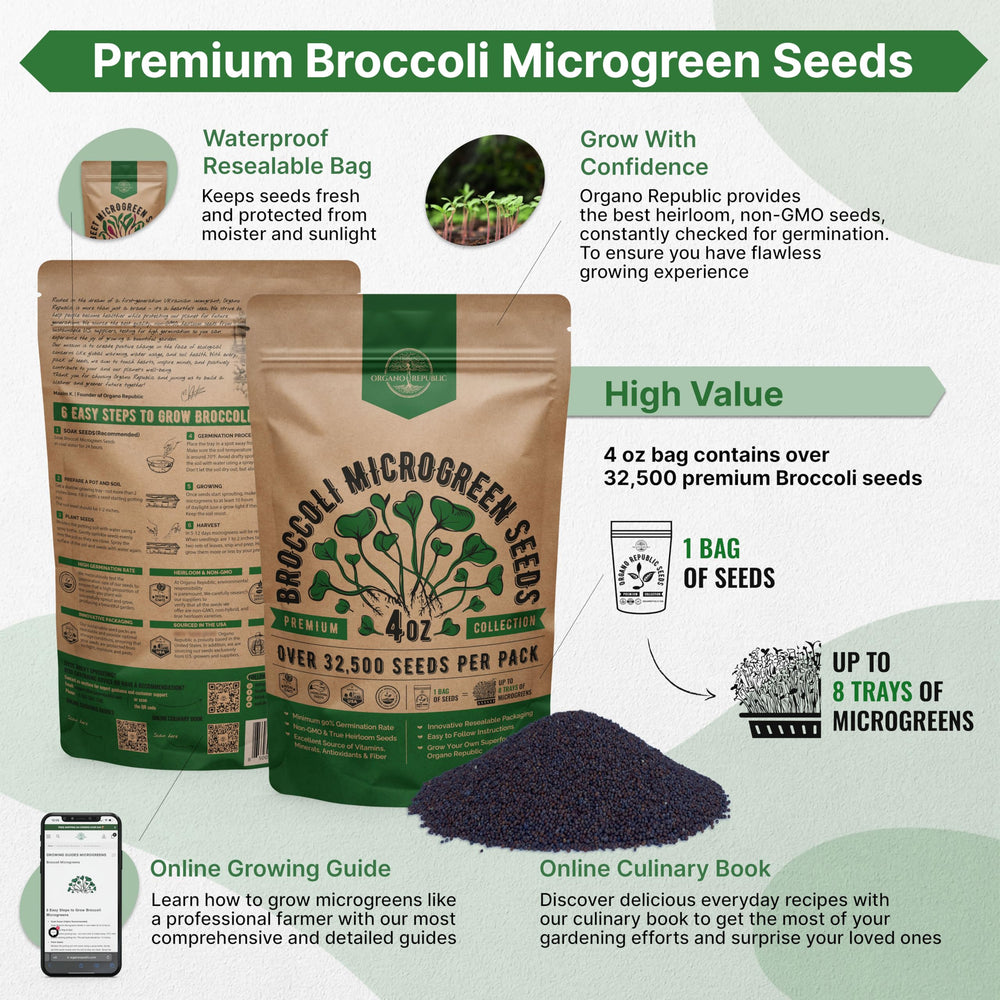 Organo Republic heirloom non-GMO seeds close-up highlighting quality