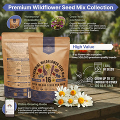 Organo Republic heirloom seeds ready to germinate for vibrant blooms.
