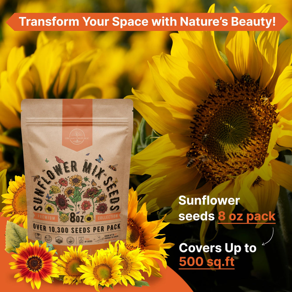 Organo Republic seeds with high germination guidance for reliable blooms.