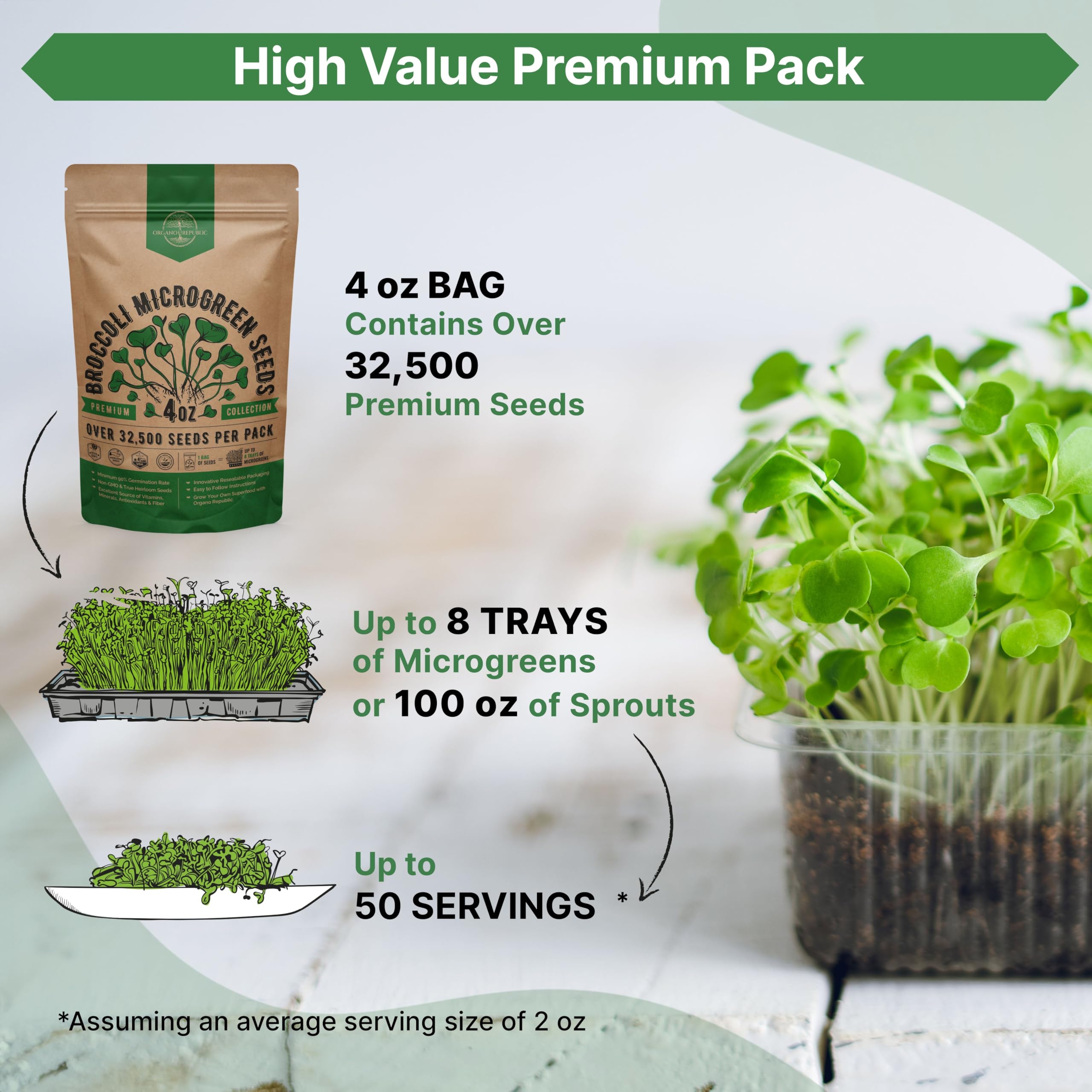 Organo Republic broccoli sprouts growing in soil for fresh greens
