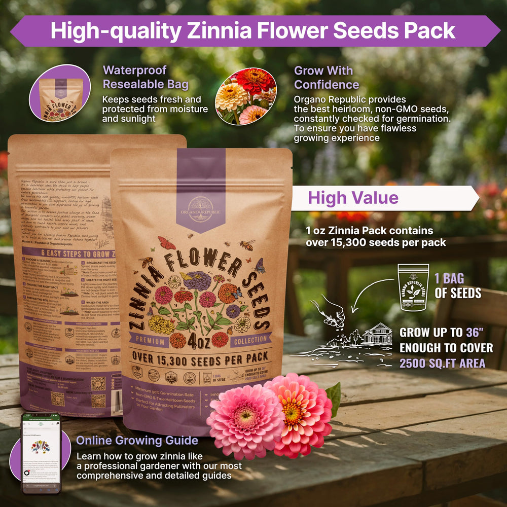 Organo Republic Zinnia Seeds Pack back view showing QR guide for easy planting.