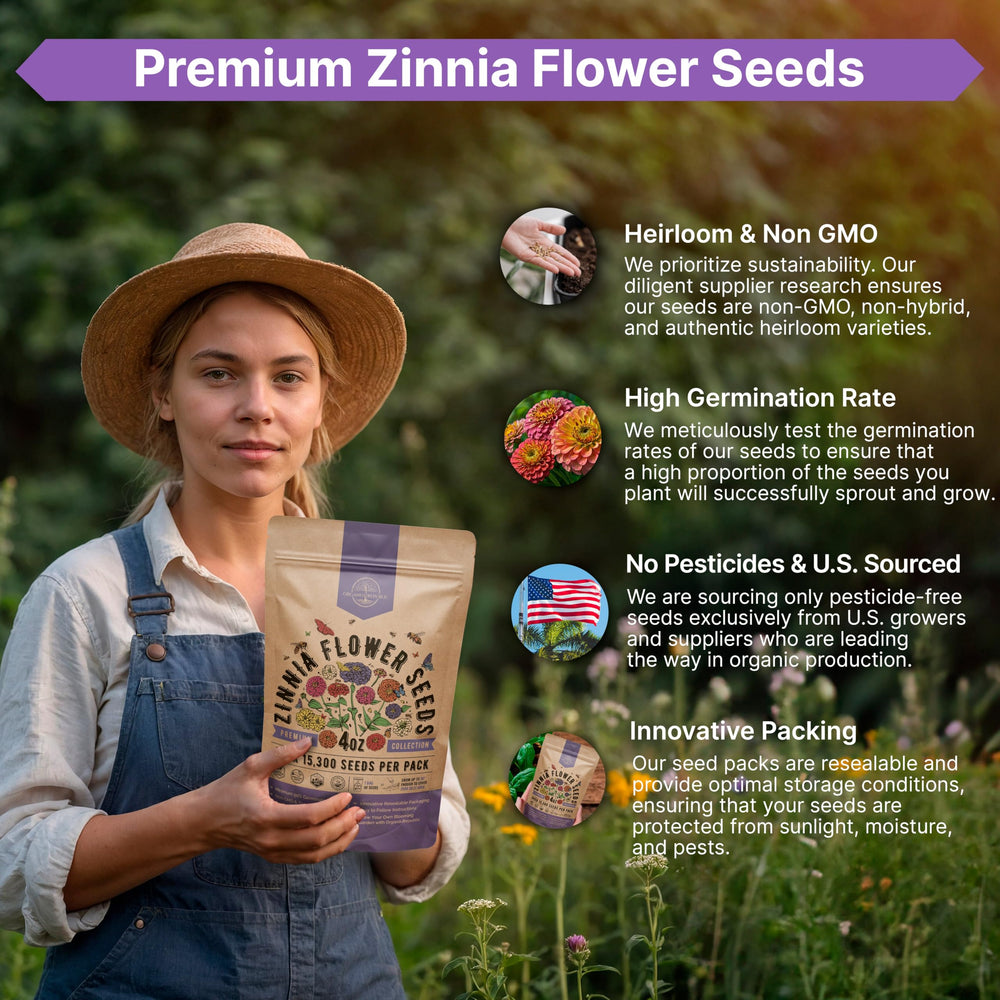 Organo Republic Zinnia Seeds Pack ideal for beginner and experienced gardeners.