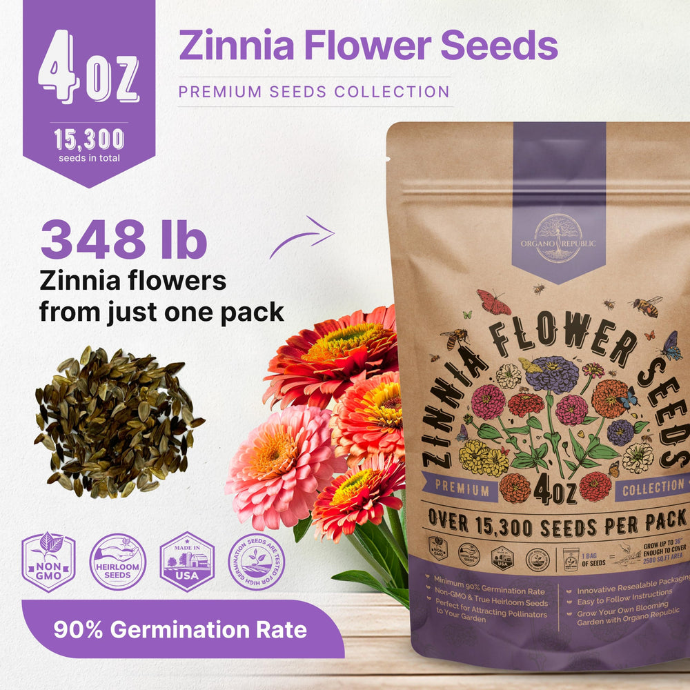Organo Republic Zinnia Seeds Pack seeds closeup shows abundant non-GMO heirloom seeds.