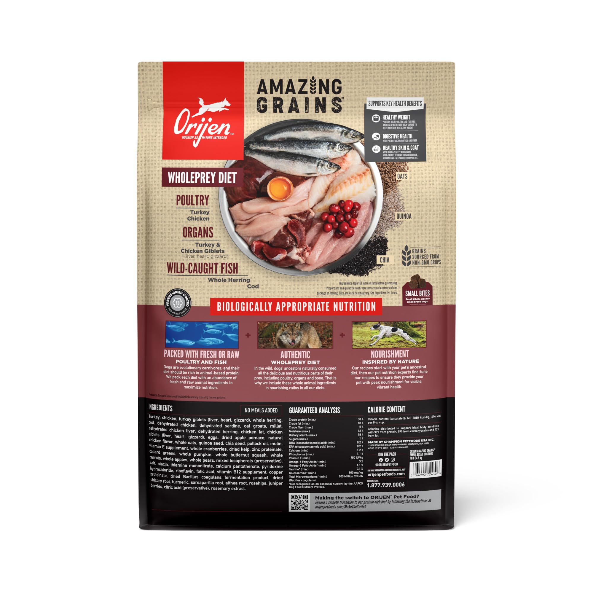 ORIJEN Amazing Grains small-breed kibble close-up, tiny size for small mouths