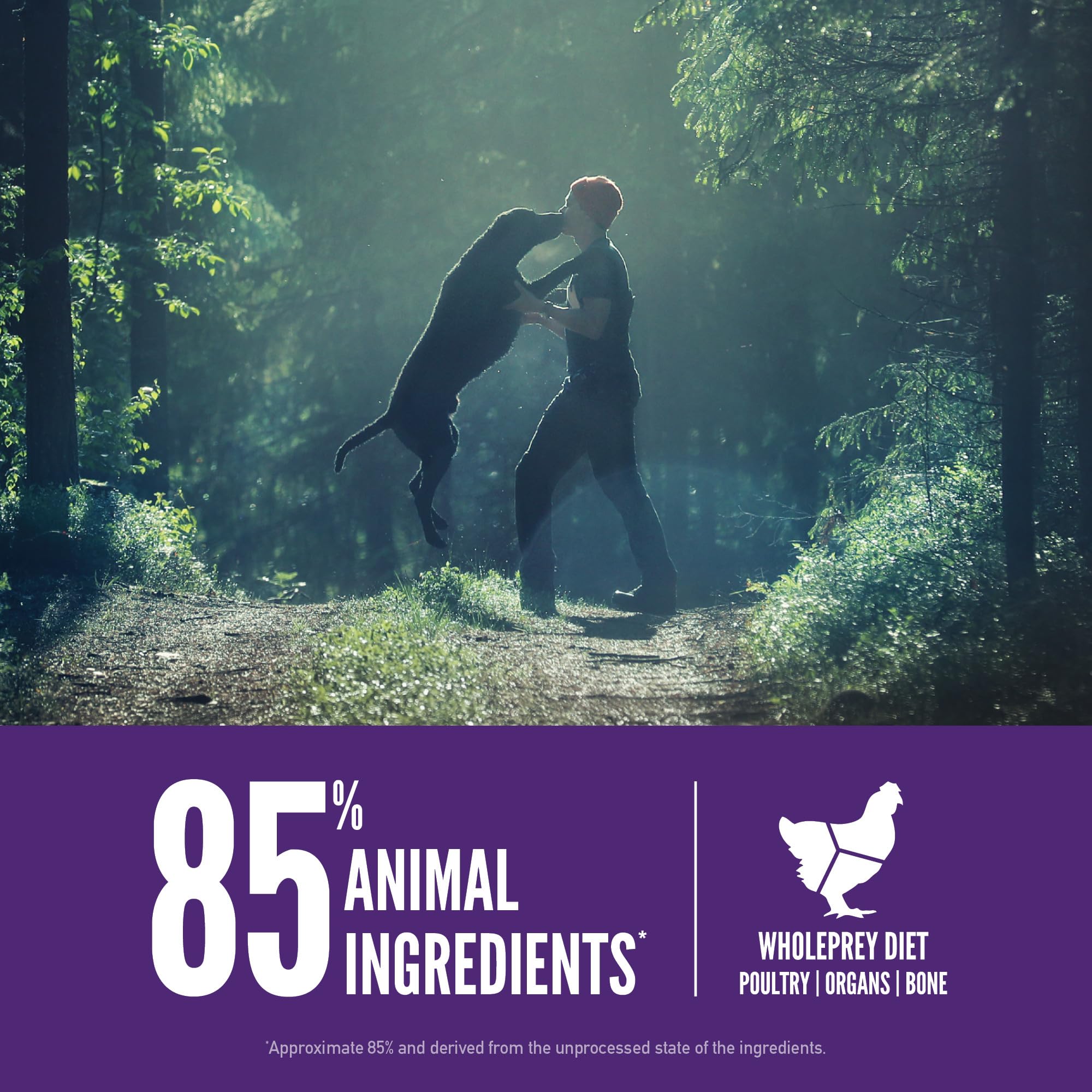 ORIJEN free-run poultry ingredients photo highlighting humane sourcing for dogs.