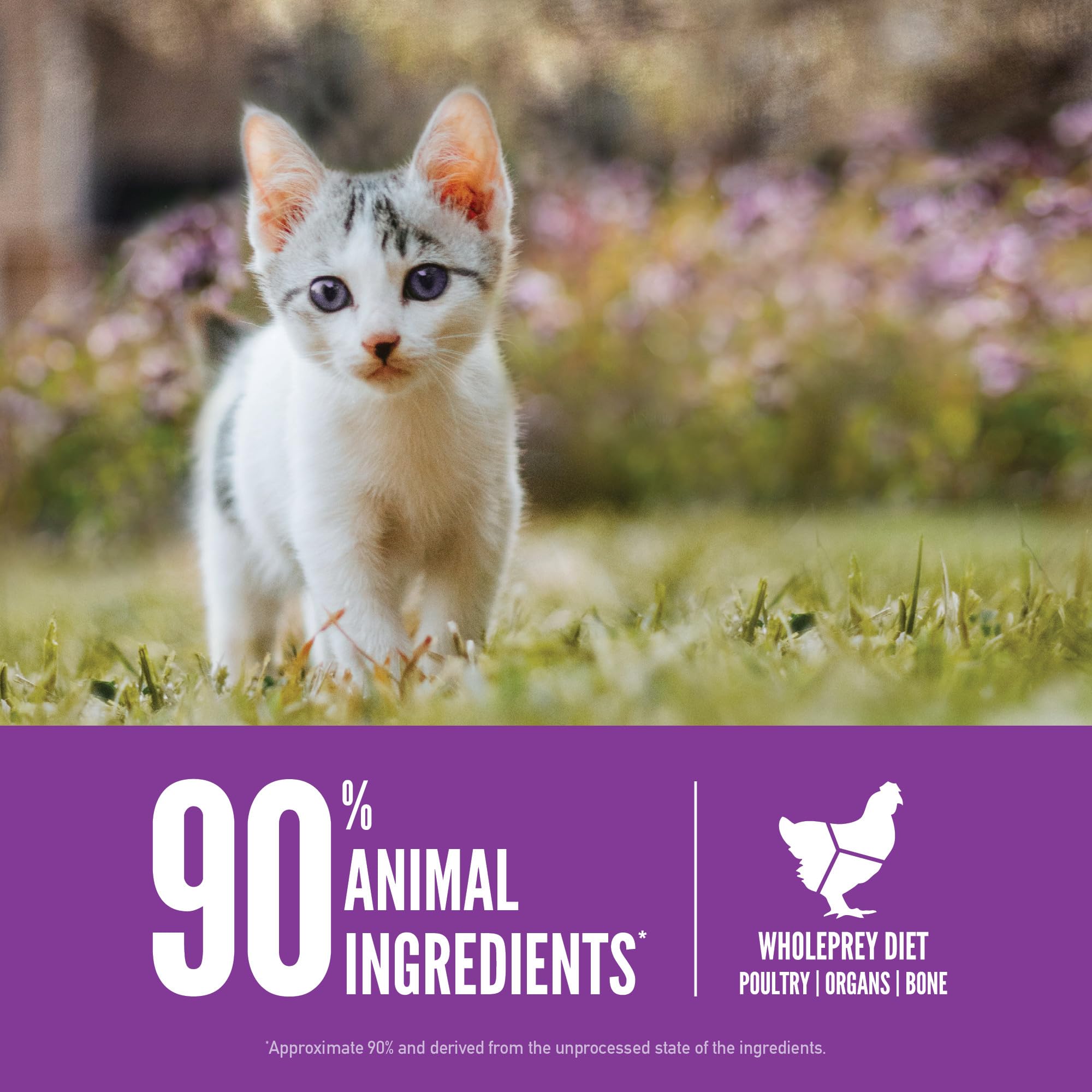 ORIJEN freeze-dried liver coating adds flavor cats instinctively crave.