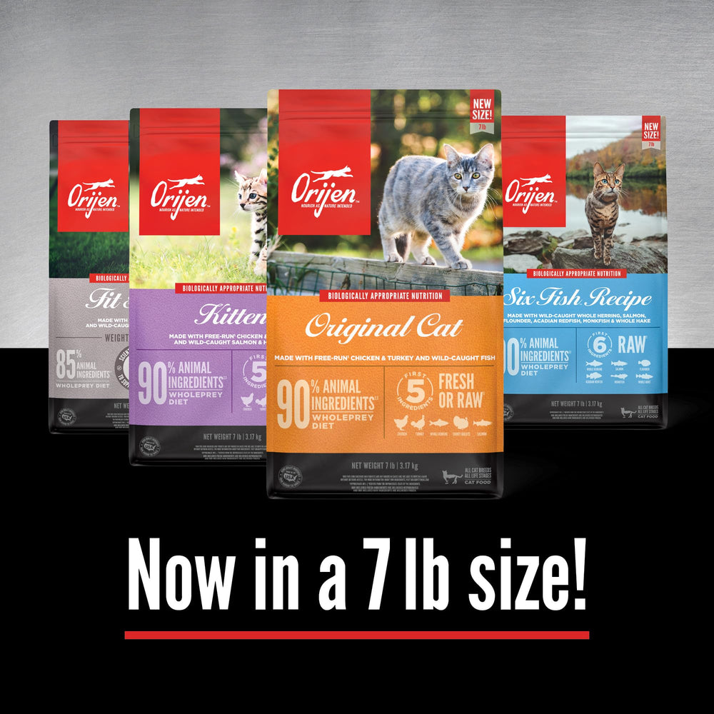 ORIJEN kitten serving size guidance for balanced meals and portion control.