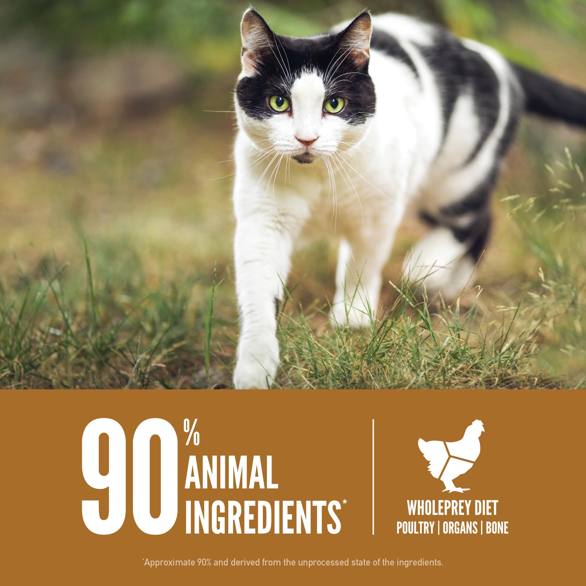 ORIJEN Original Cat Food freeze-dried coating photo suggesting raw flavor boost
