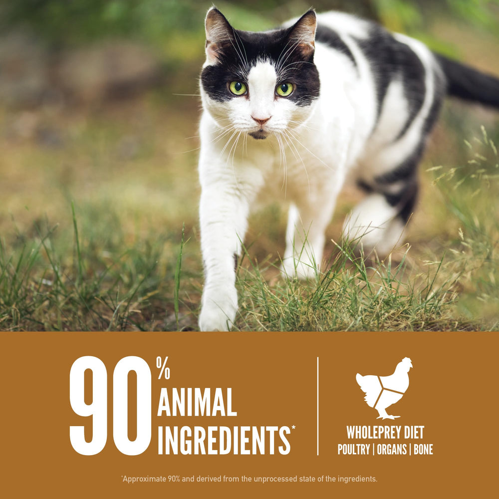 ORIJEN Original Cat Food freeze-dried coating photo suggesting raw flavor boost