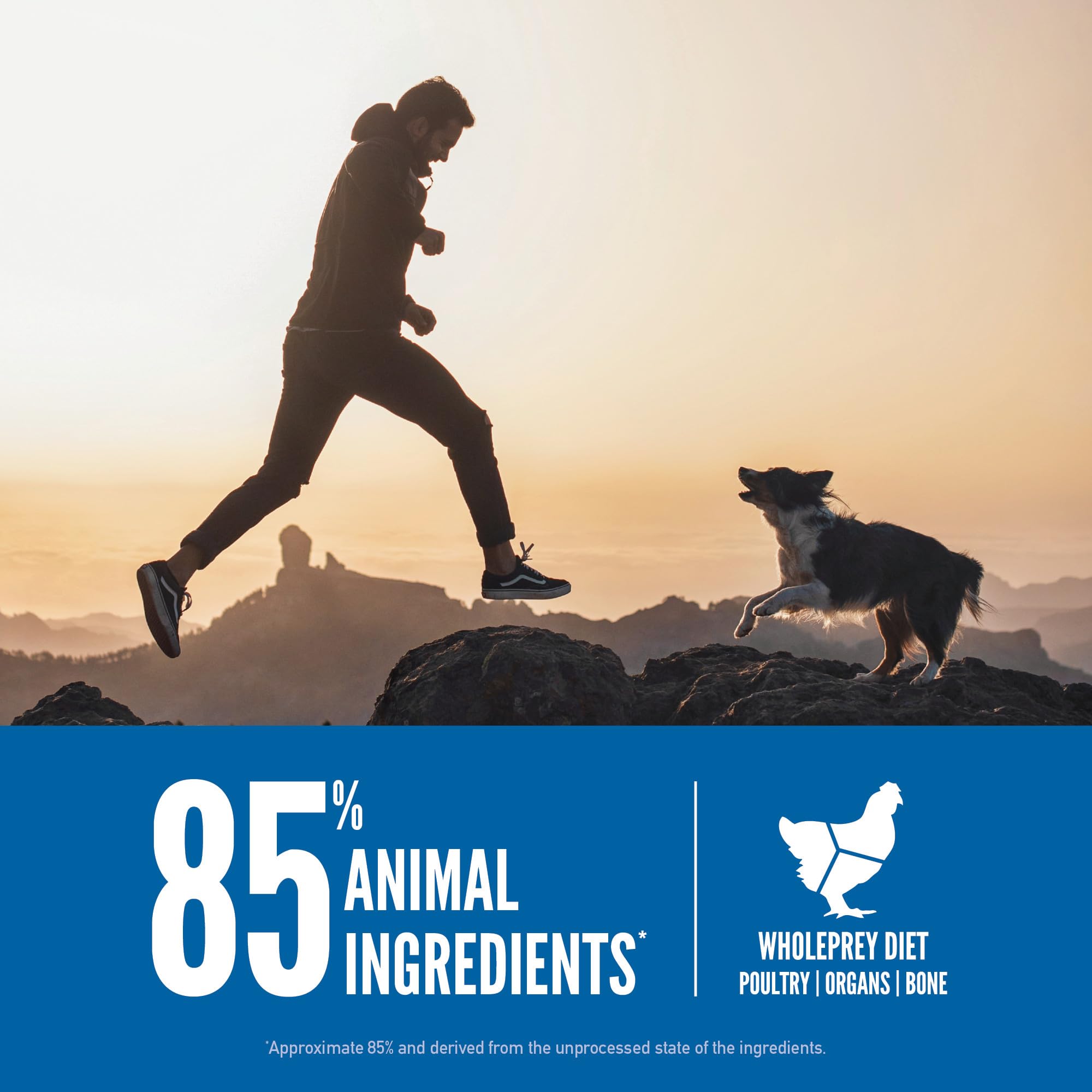 ORIJEN WholePrey components with organs and bones depicted for balanced nutrition