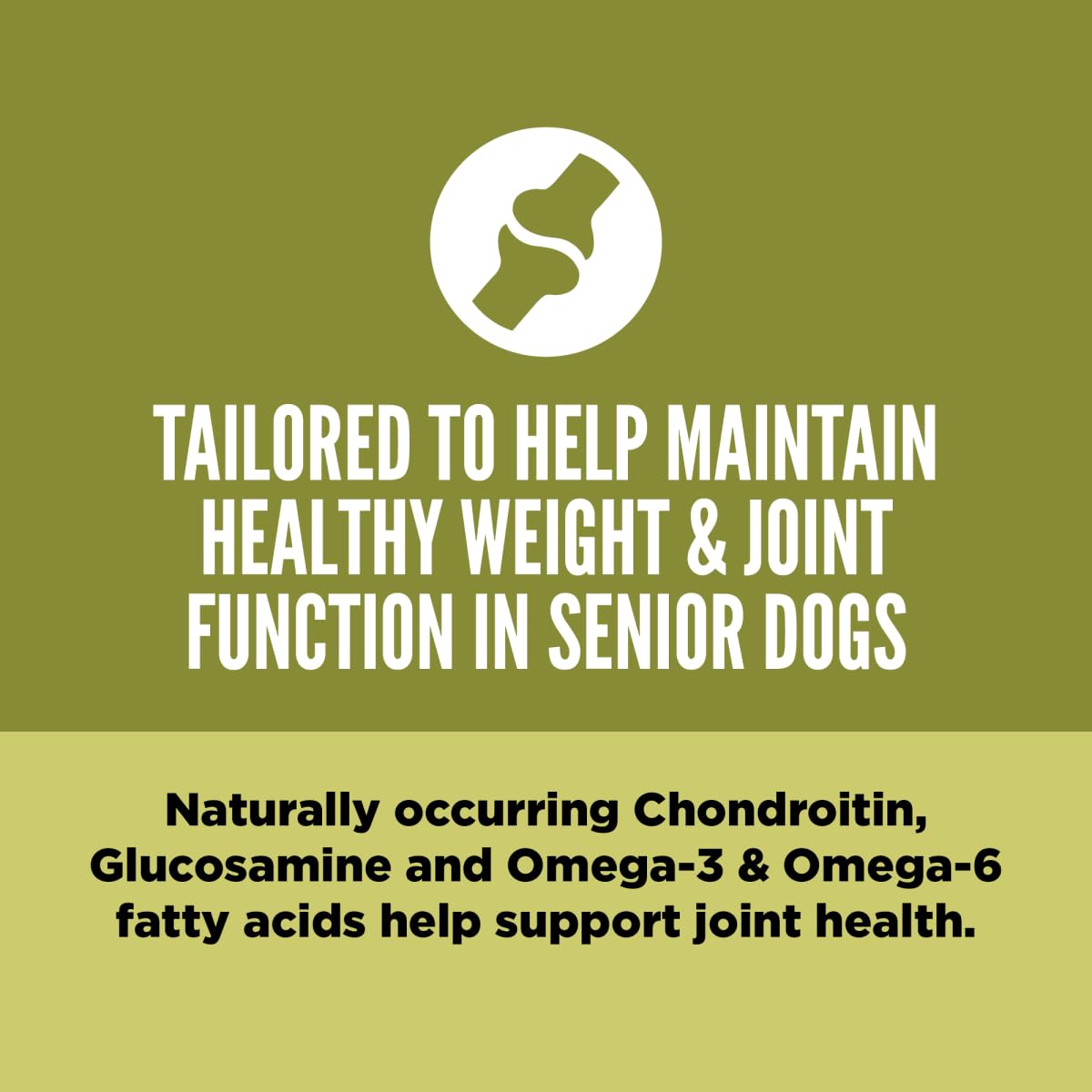 ORIJEN Senior free-run ingredients image shows chicken, turkey, salmon, and liver for flavor and nutrition.