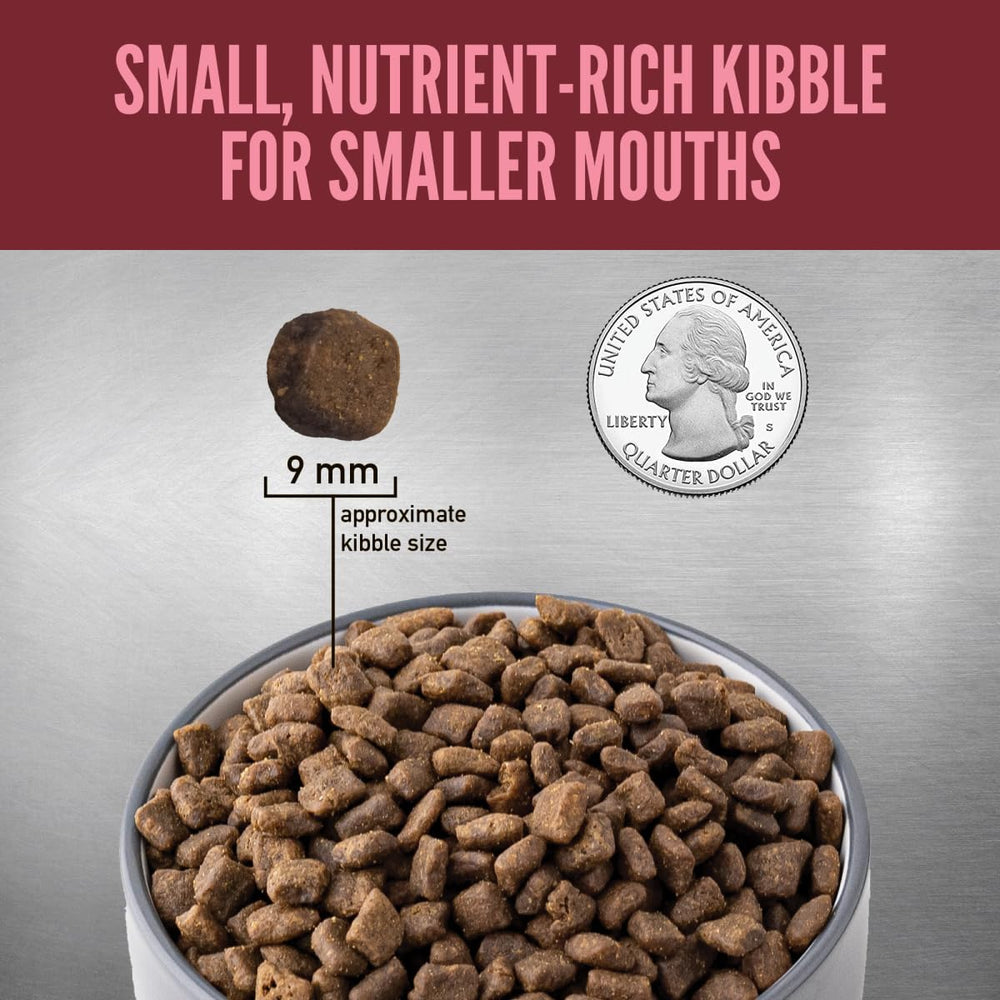 Freeze-dried coating delivers a flavor burst dogs instinctively crave