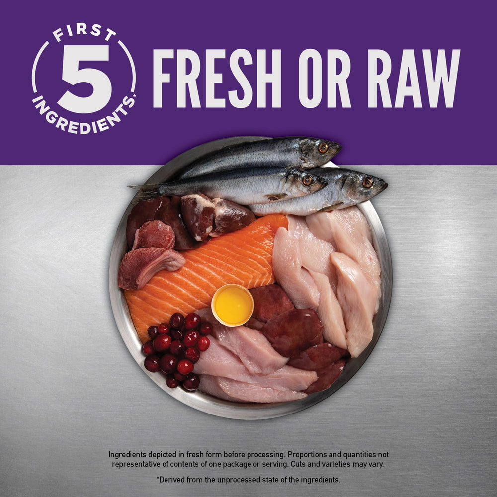 ORIJEN wild-caught fish ingredients demonstrating omega-3 richness for coat health.