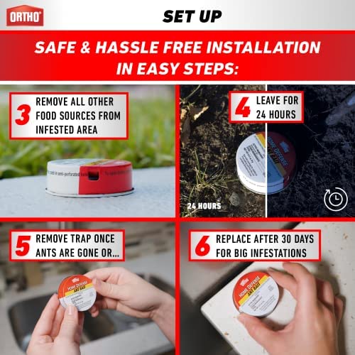 Ortho Ant Killer indoor-outdoor usage demonstrates versatile pest control for homes