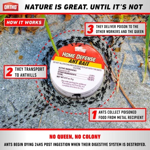 Ortho Ant Traps Indoor bait placement guides effective ant control