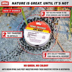 Ortho Ant Traps Indoor bait placement guides effective ant control