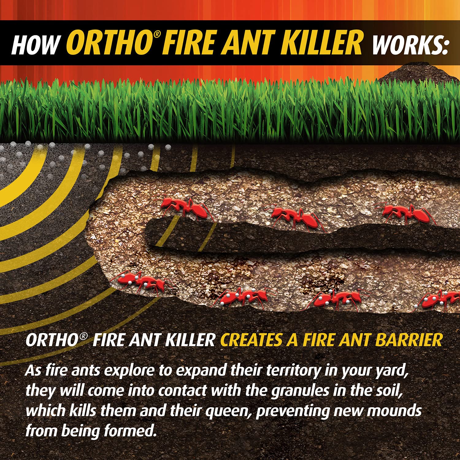 Ortho Fire Ant Killer Broadcast Granules require watering in after application
