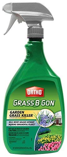 Ortho Grass B Gon spray bottle for selective weed control in gardens.