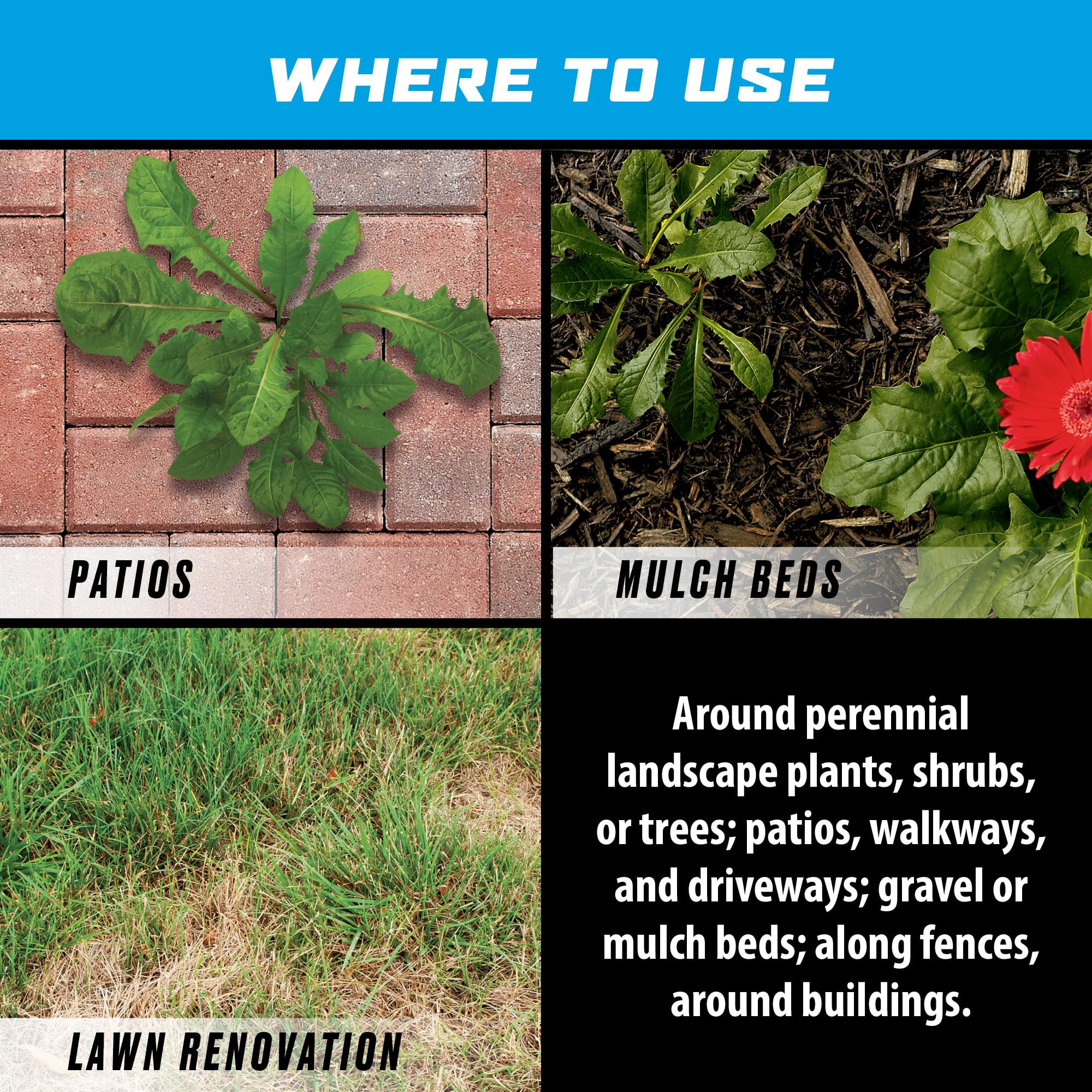 Ortho GroundClear provides visible results within hours in outdoor settings.