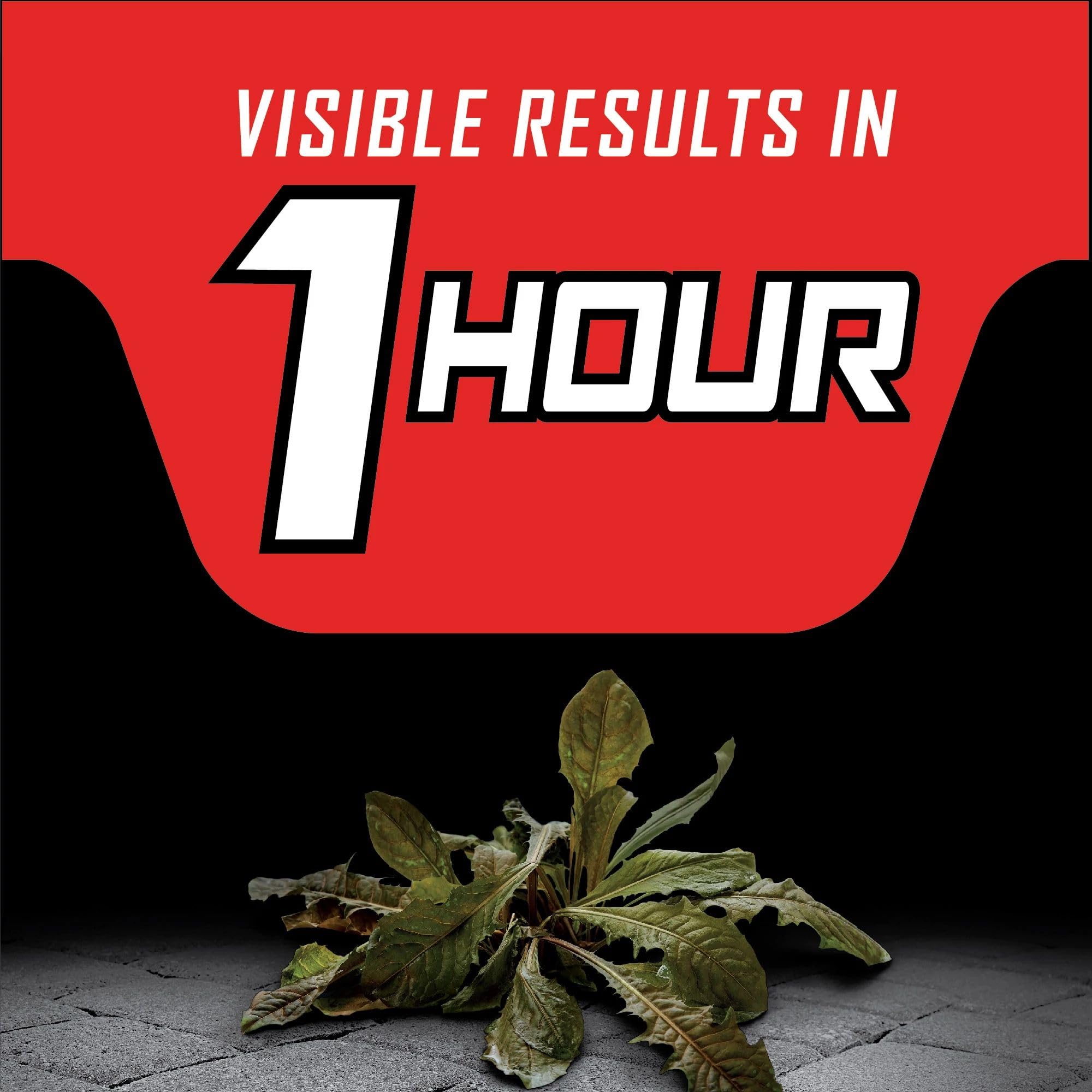 Ortho GroundClear Year Long rainproof in 1 hour feature speeds outdoor use
