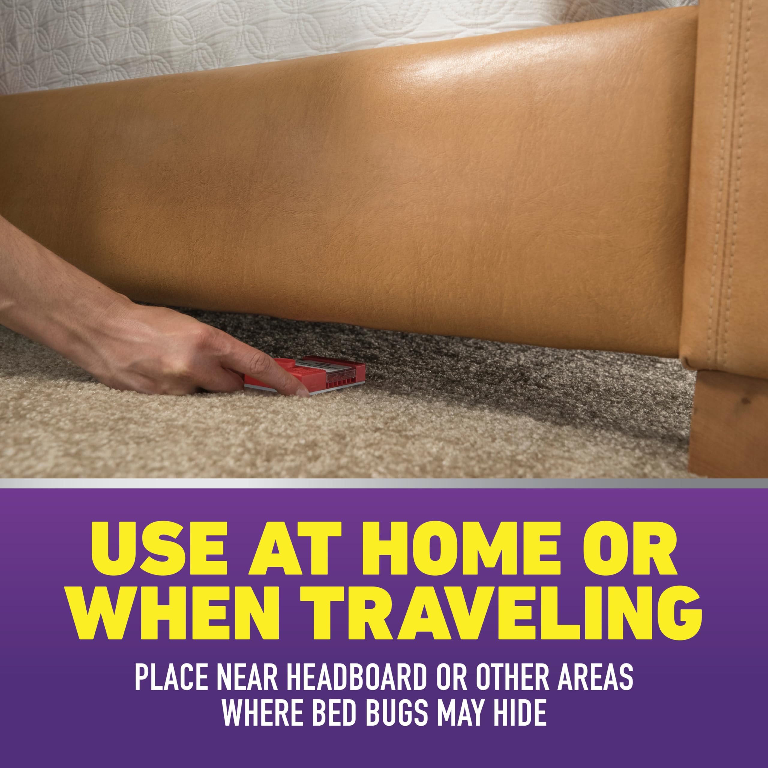 Ortho Home Defense Max Bed Bug Trap placed by bed leg to monitor sleeping areas.