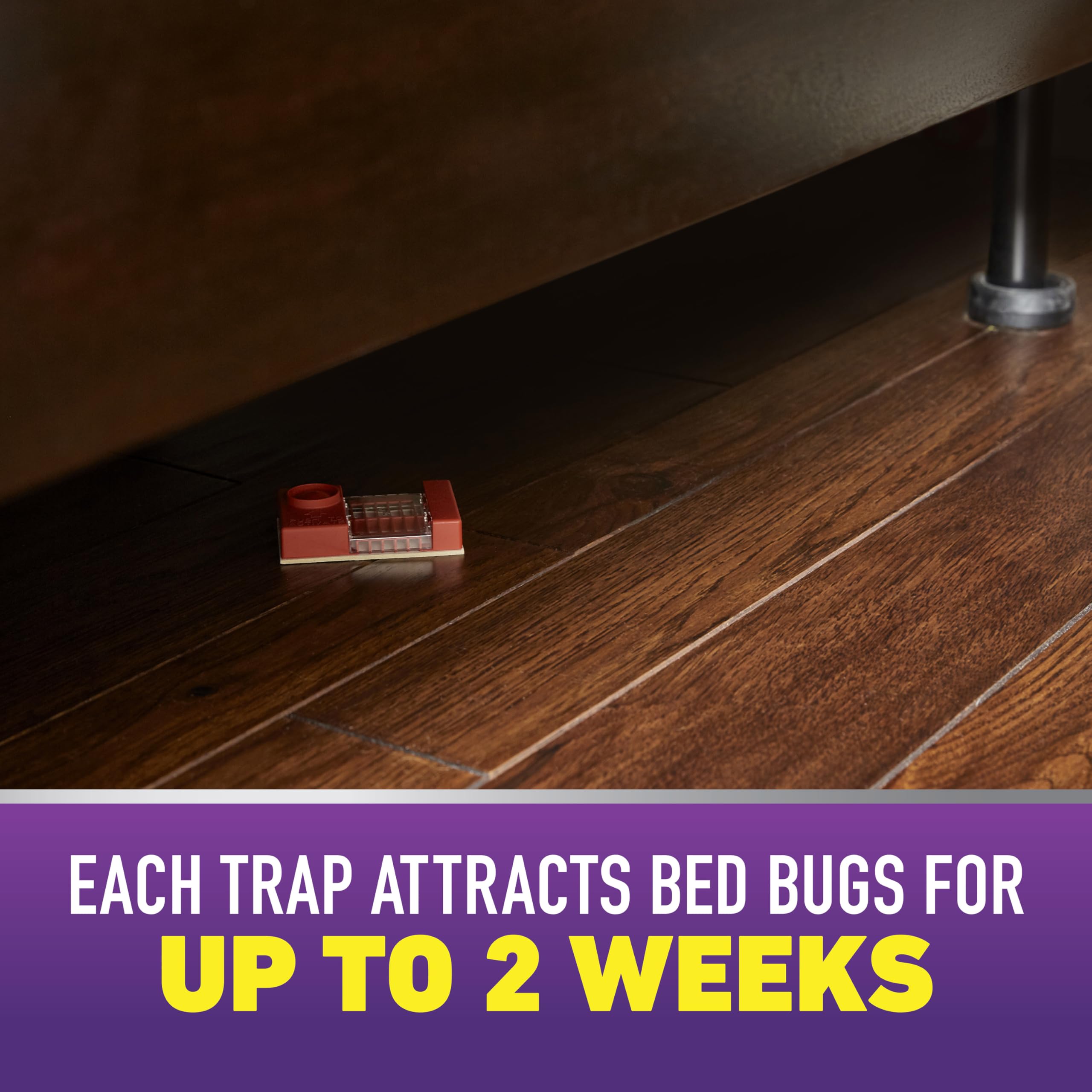 Ortho Home Defense Max Bed Bug Trap between mattress and box spring for hidden bug detection.