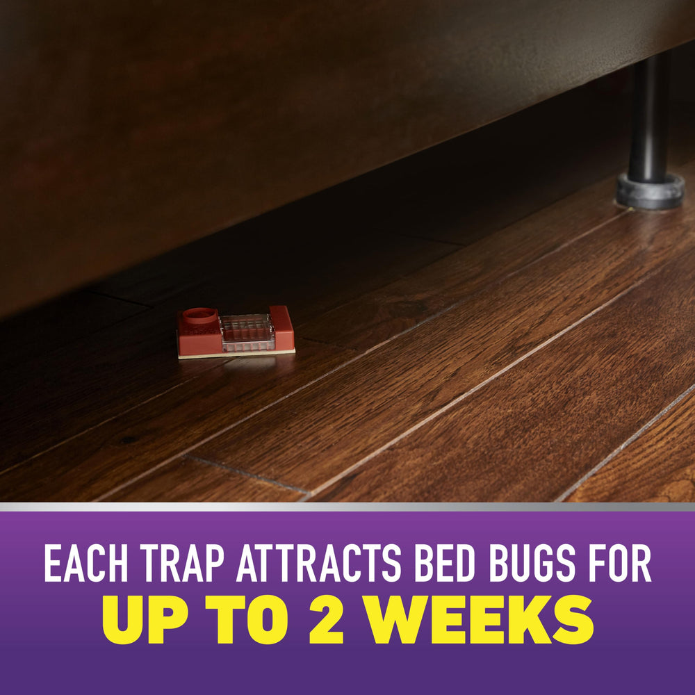 Ortho Home Defense Max Bed Bug Trap between mattress and box spring for hidden bug detection.