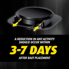 Bait stations placed in corners reduce ant activity in rooms.