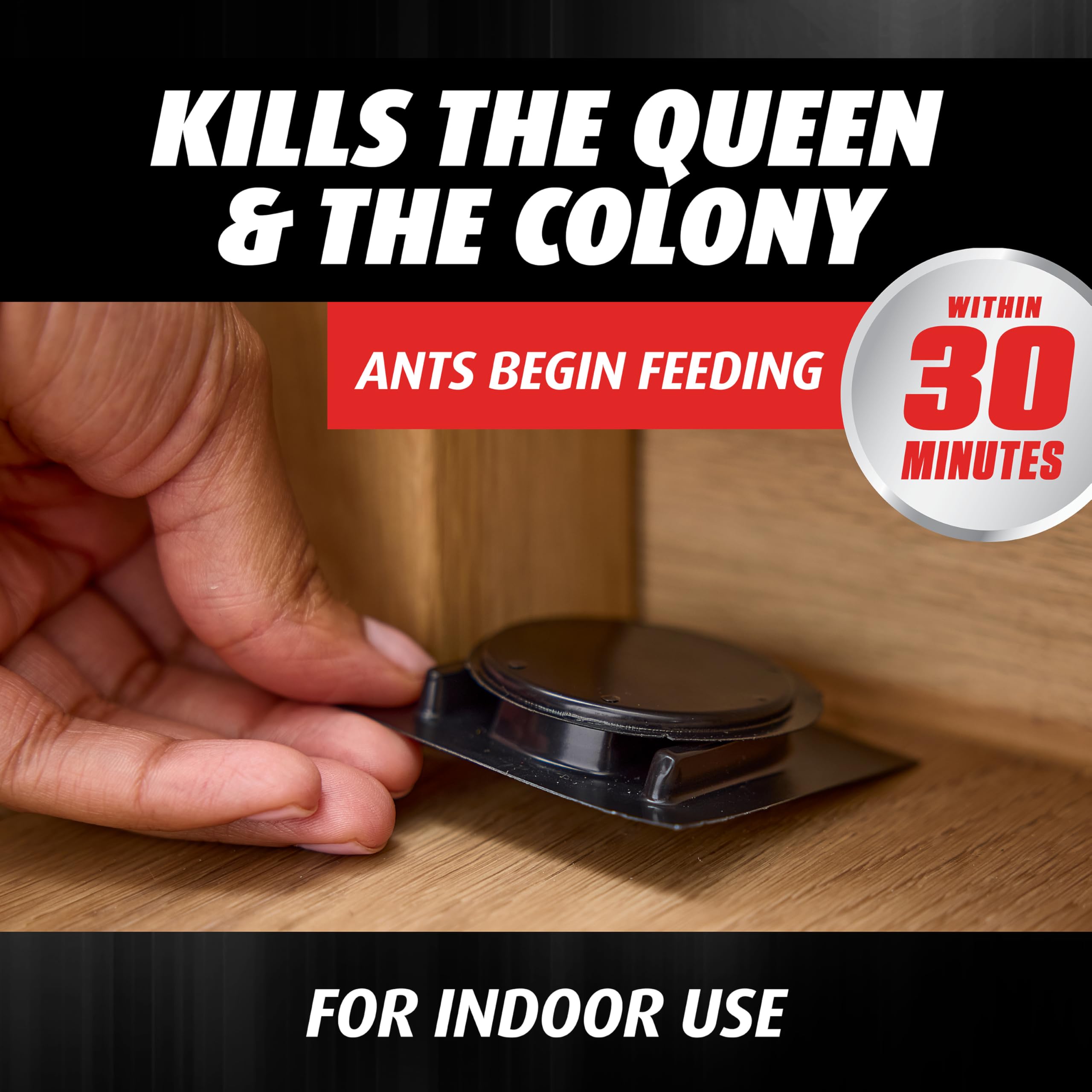 Adhesive back on bait station for easy kitchen and garage placement.