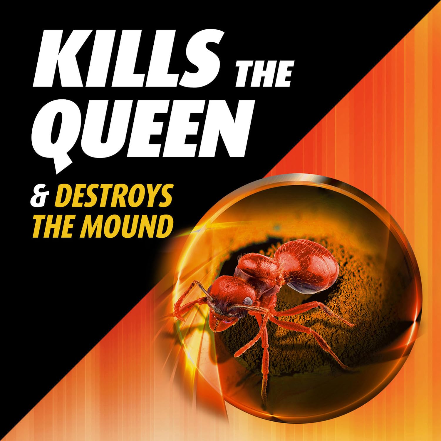 Ortho Orthene Fire Ant Killer1 queen-kill focus during treatment