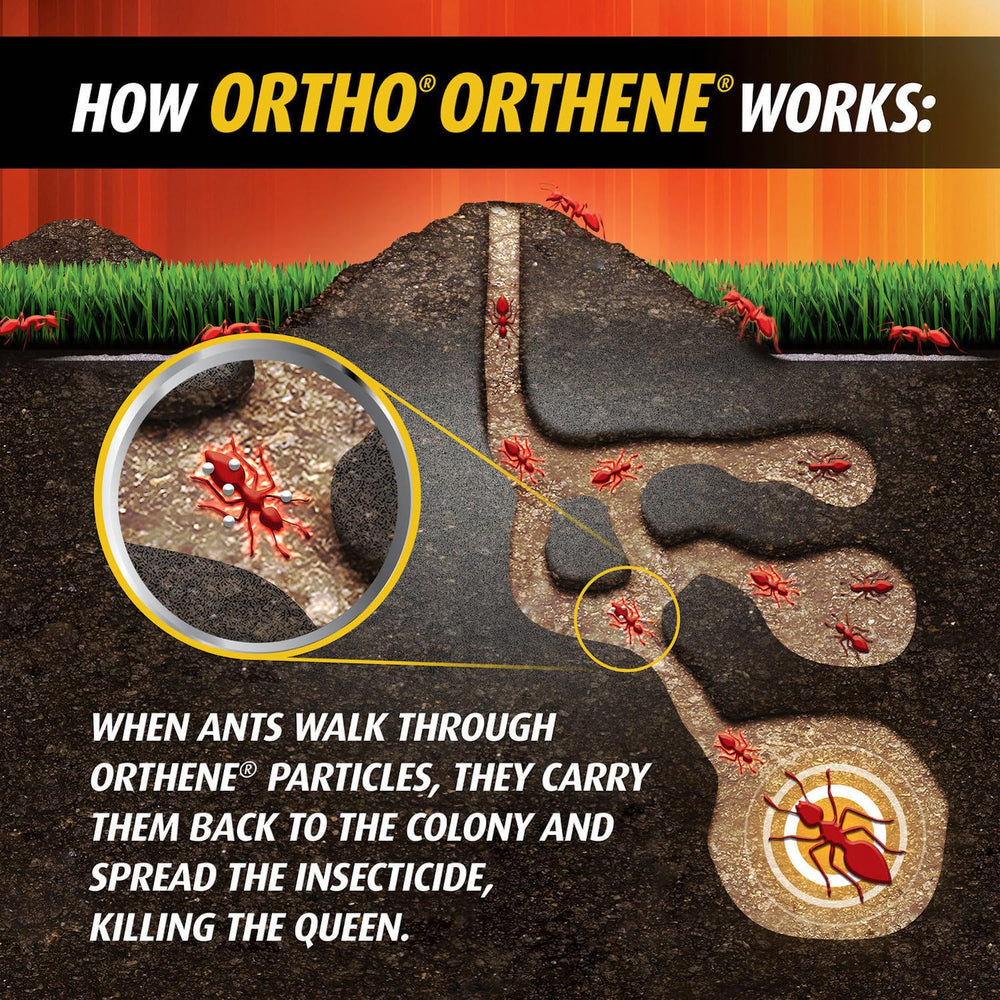 Ortho Orthene Fire Ant Killer1 two-step system with broadcast granules