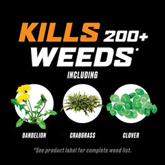 Crabgrass being tackled by Ortho WeedClear spray across a lawn