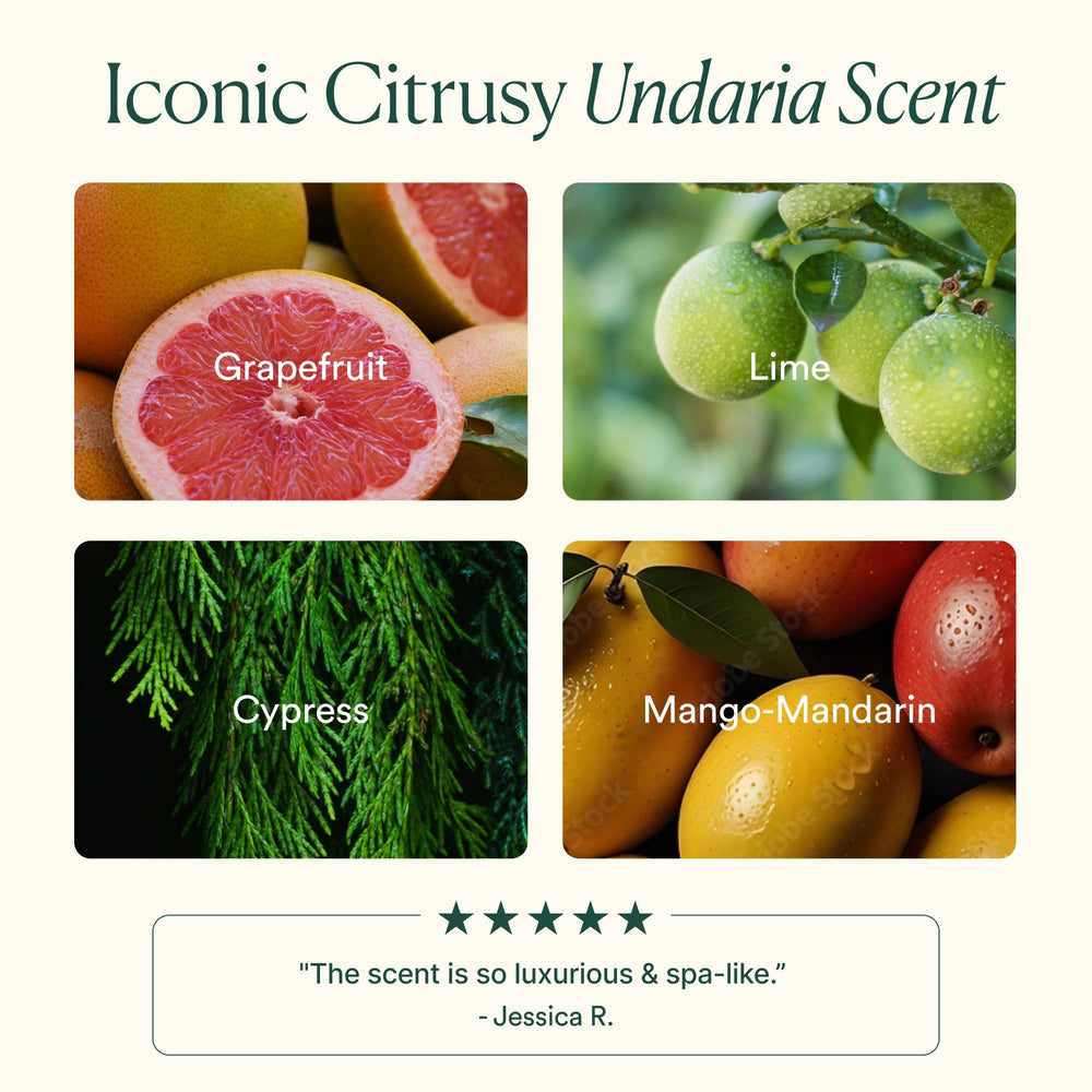 Ceramides and shea butter boost softness in OSEA body butter